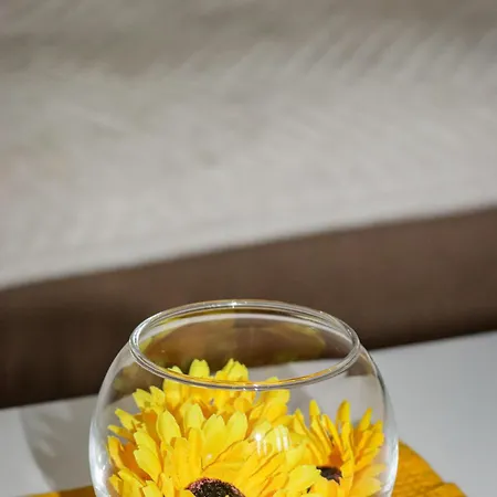 Apartment Tabakovic *